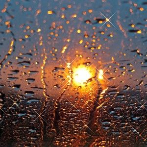 Meet your Posher, Pioggia